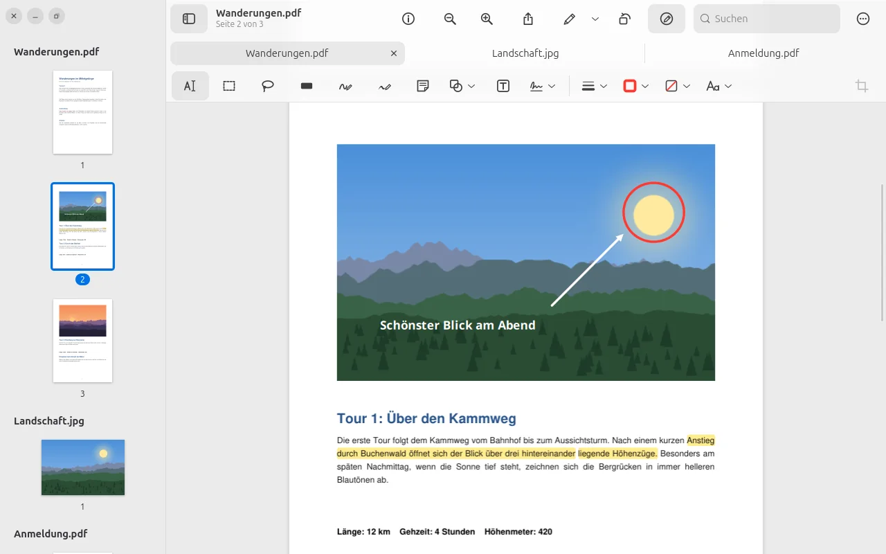 PDF mit Textmarker, Kreis und Pfeil